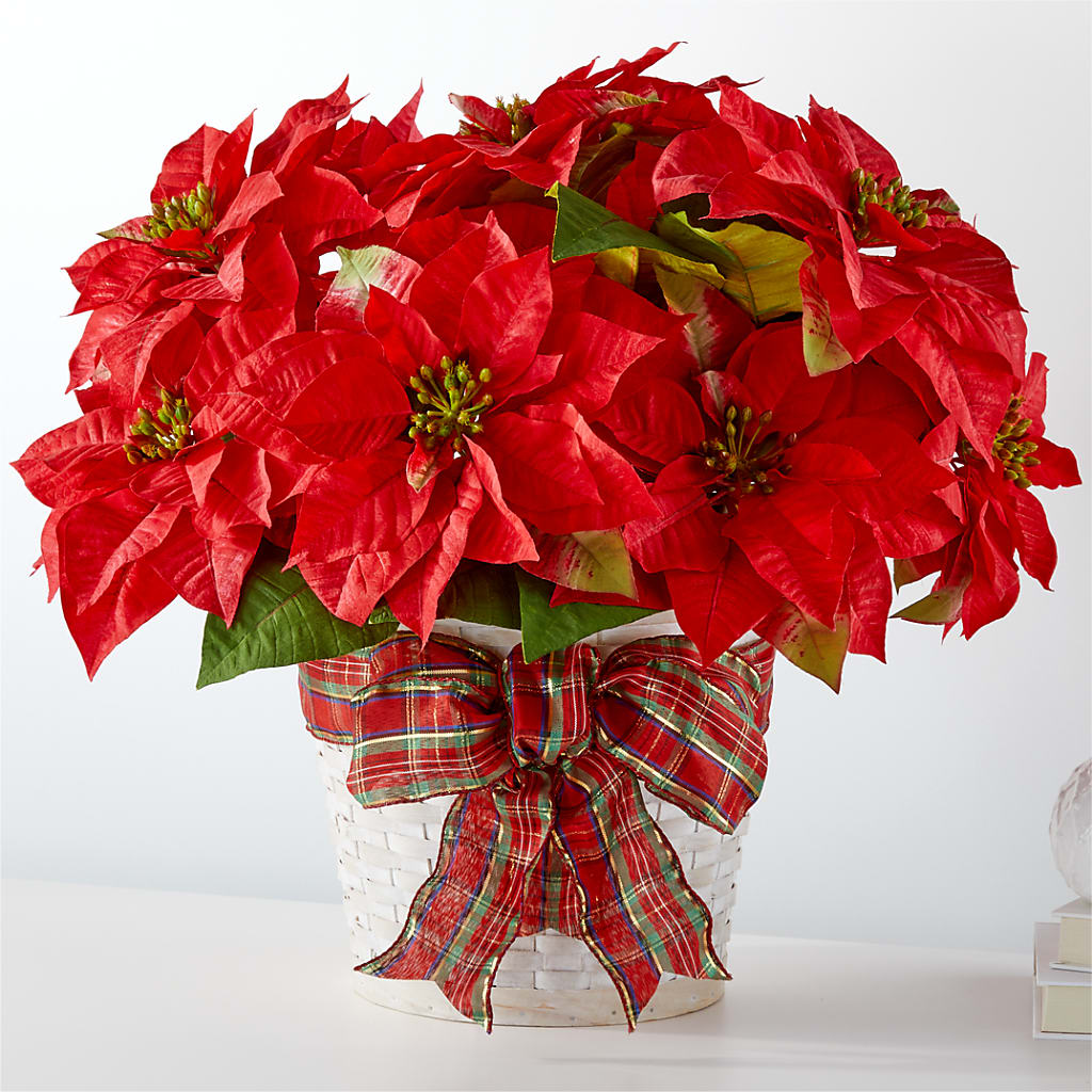 Happiest Holidays Poinsettia – Loop Flower Studio, Chicago IL