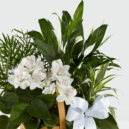 Peace & Serenity Dishgarden – Loop Flower Studio, Chicago IL