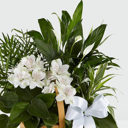 Peace & Serenity Dishgarden – Loop Flower Studio, Chicago IL