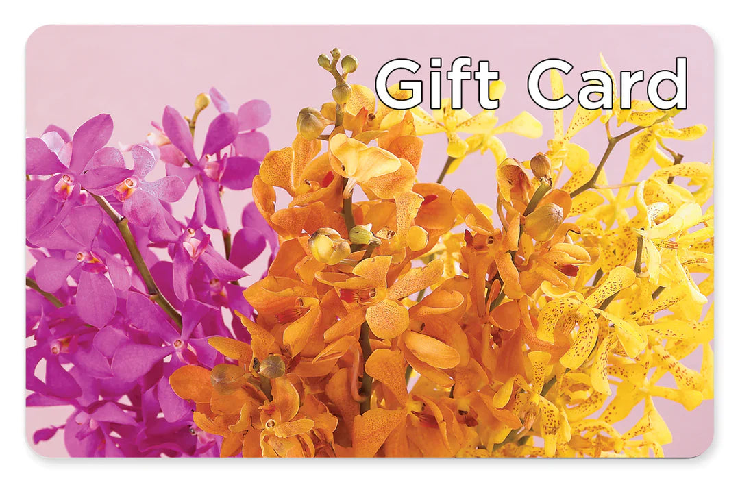 Gift Card – Loop Flower Studio, Chicago IL