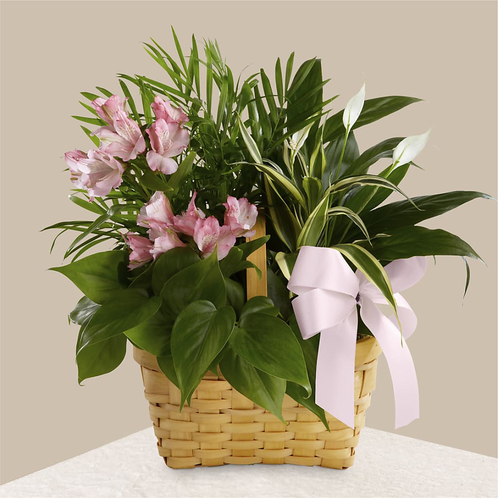 Living Spirit Dishgarden – Loop Flower Studio, Chicago IL