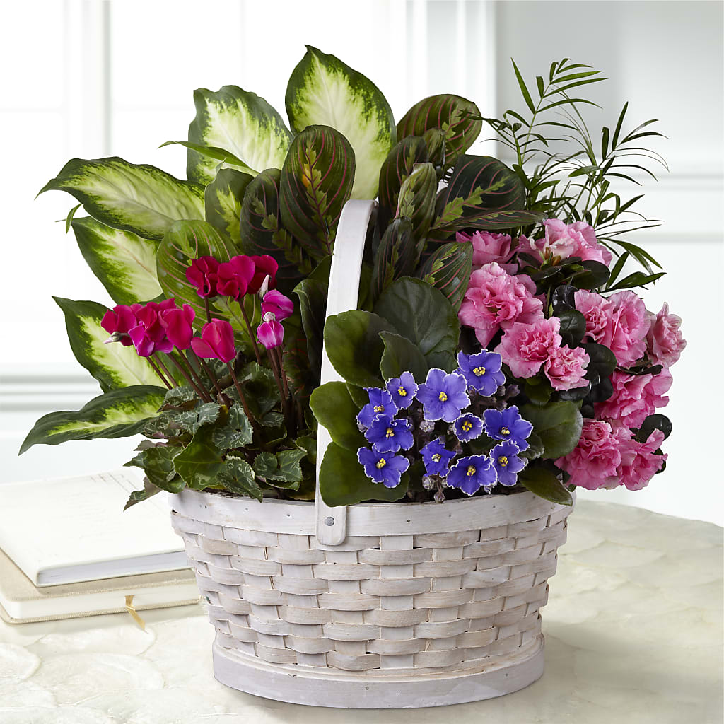 Peaceful Garden Planter – Loop Flower Studio, Chicago IL