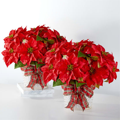 Happiest Holidays Poinsettia Bundle –  Loop Flower Studio, Chicago IL