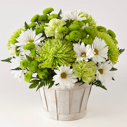 Lucky Charm Basket (Standard) –  Loop Flower Studio, Chicago IL
