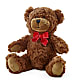 Adorable Plush Bear –  Loop Flower Studio, Chicago IL
