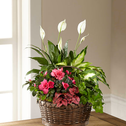 Dream in Pink Dishgarden –  Loop Flower Studio, Chicago IL