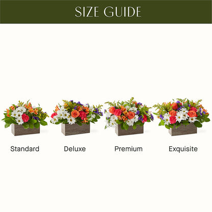 Oopsie Daisy Box Bouquet –  Loop Flower Studio, Chicago IL