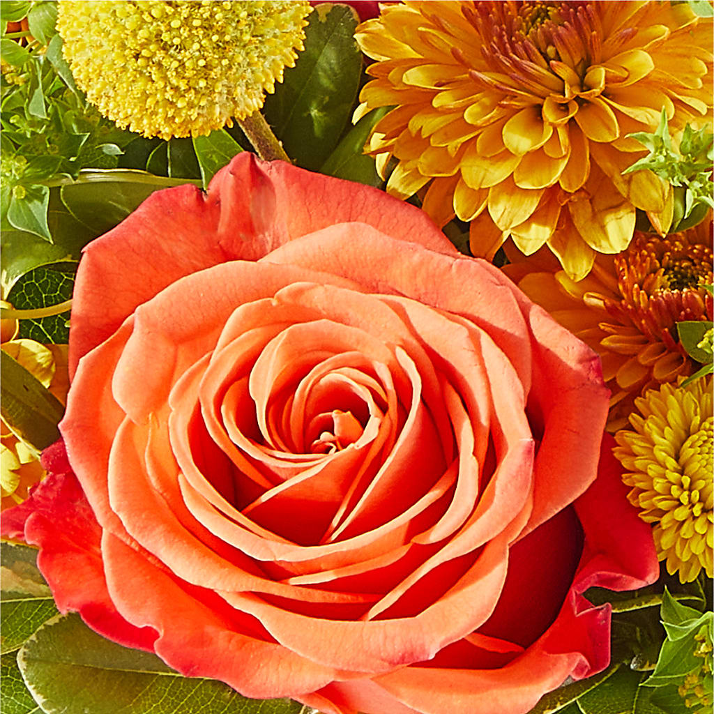 Gourdgeous Pumpkin –  Loop Flower Studio, Chicago IL
