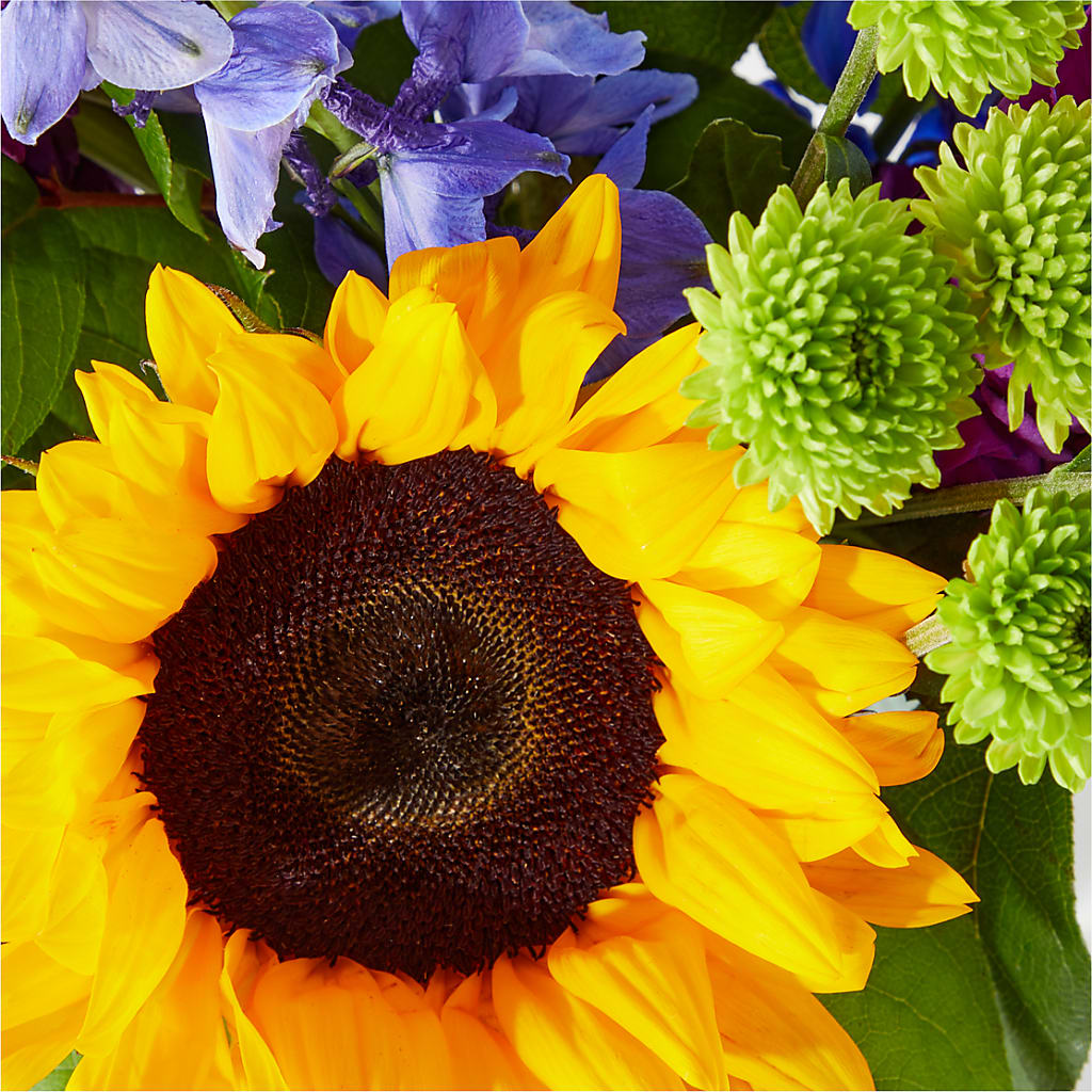 Catching Rays Bouquet –  Loop Flower Studio, Chicago IL