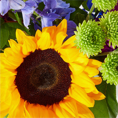 Catching Rays Bouquet –  Loop Flower Studio, Chicago IL