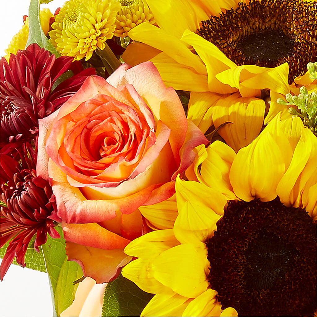 Golden Gourd Pumpkin Bouquet –  Loop Flower Studio, Chicago IL
