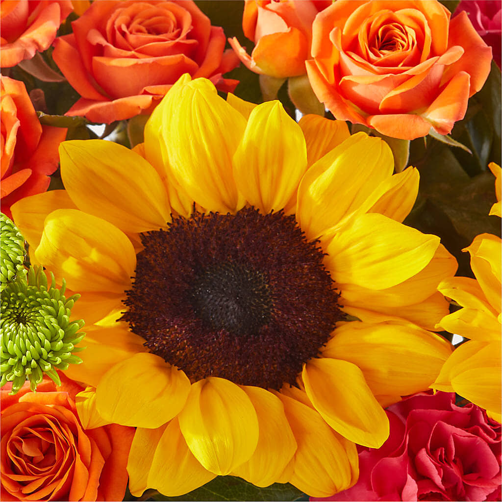 Sun-drenched Blooms Box Bouquet –  Loop Flower Studio, Chicago IL