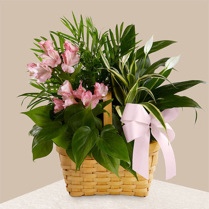 Living Spirit Dishgarden –  Loop Flower Studio, Chicago IL
