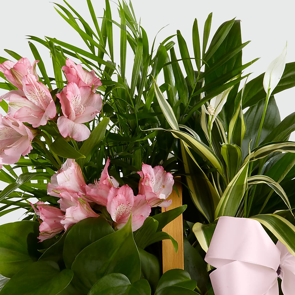Living Spirit Dishgarden –  Loop Flower Studio, Chicago IL