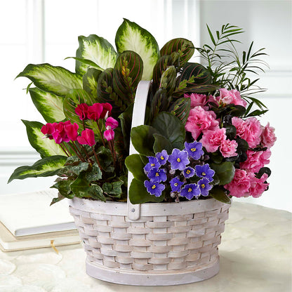 Peaceful Garden Planter –  Loop Flower Studio, Chicago IL