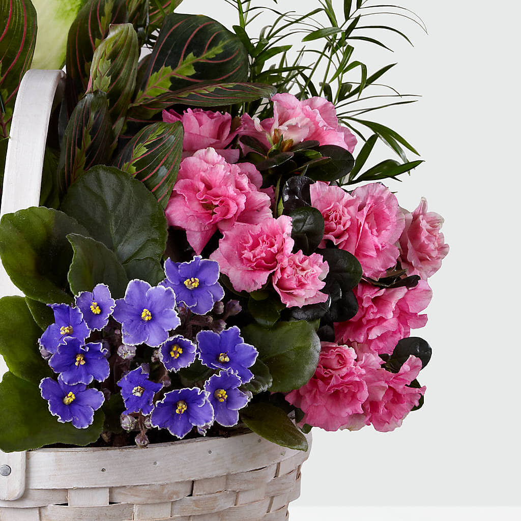 Peaceful Garden Planter –  Loop Flower Studio, Chicago IL
