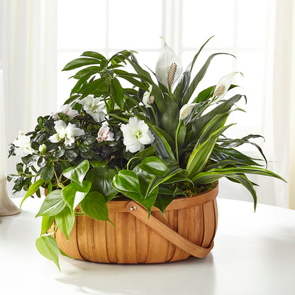 Serene Dishgarden –  Loop Flower Studio, Chicago IL