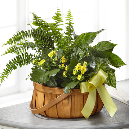 Always Dear Dishgarden –  Loop Flower Studio, Chicago IL