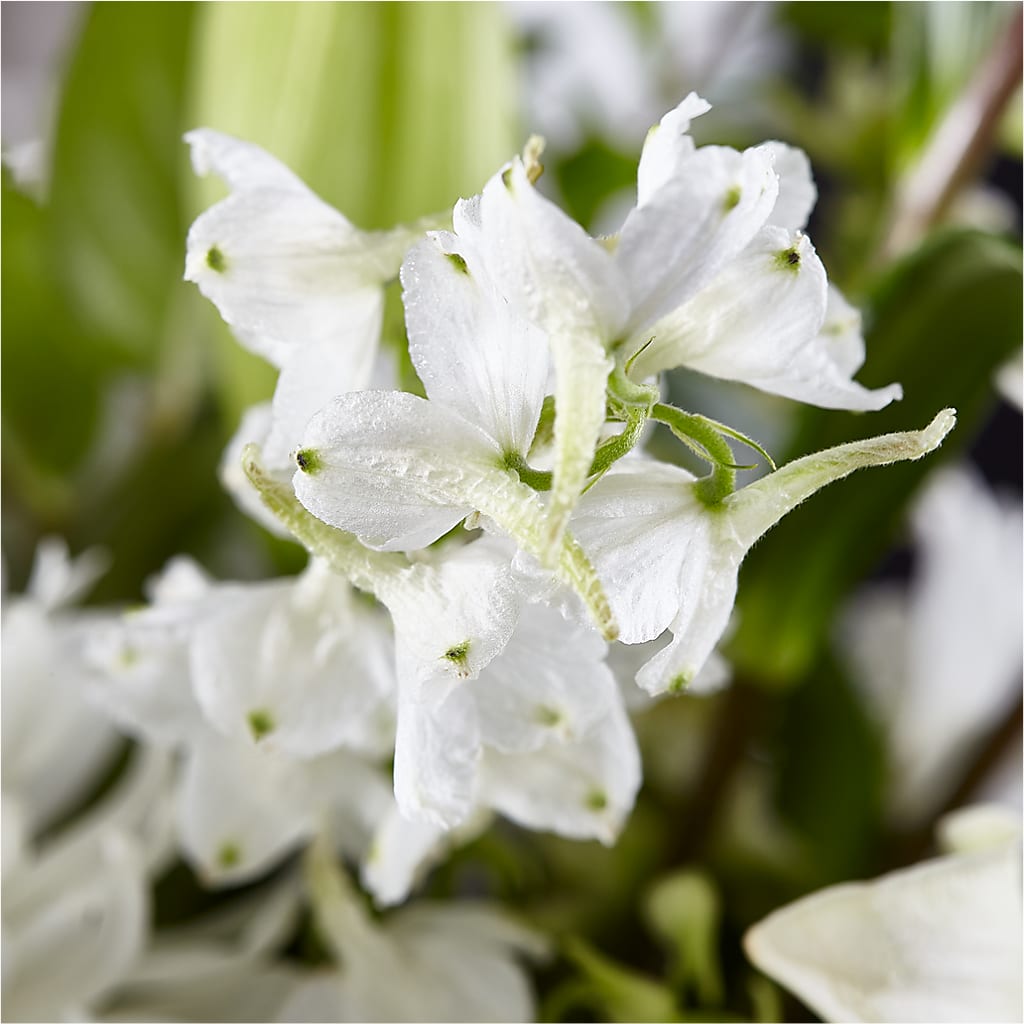 Classic Ivory – A Florist Original –  Loop Flower Studio, Chicago IL