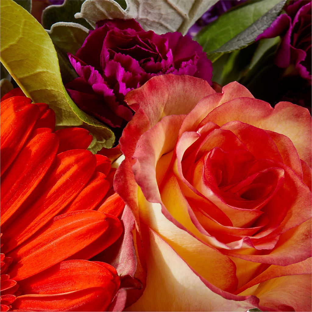 Sangria Bouquet –  Loop Flower Studio, Chicago IL