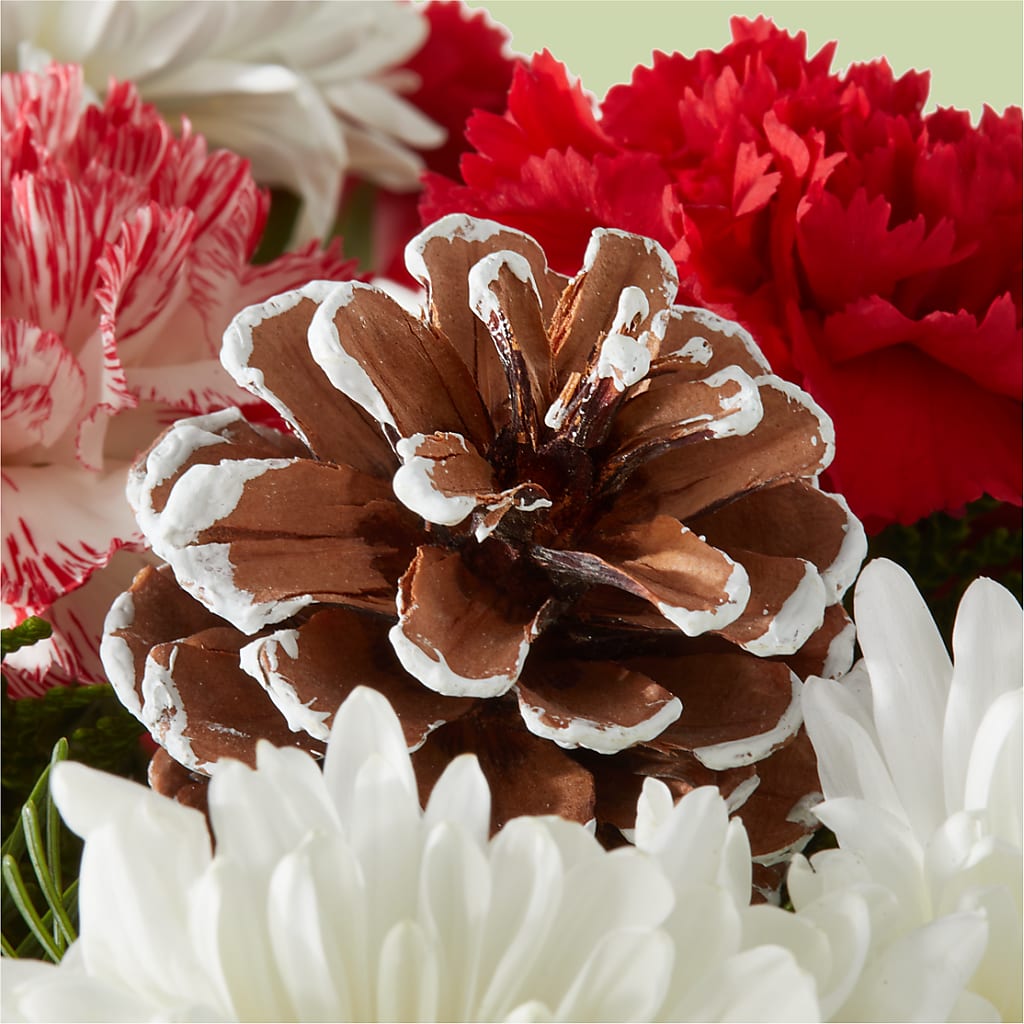 Candy Cane Lane Bouquet –  Loop Flower Studio, Chicago IL