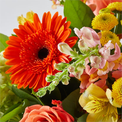 Autumn Sunshine Bouquet –  Loop Flower Studio, Chicago IL