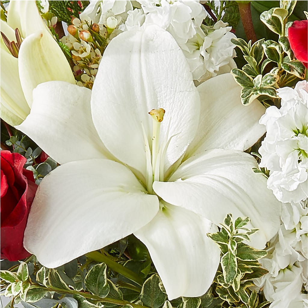 Twinkle Lights Bouquet –  Loop Flower Studio, Chicago IL