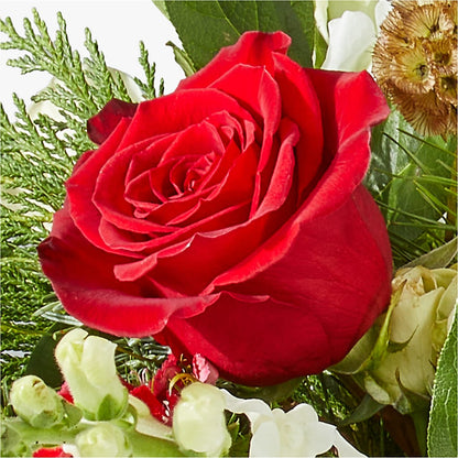 Deck the Halls Bouquet –  Loop Flower Studio, Chicago IL