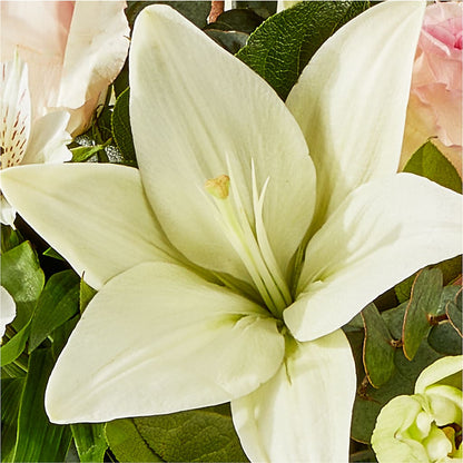 Ballet Slippers Bouquet –  Loop Flower Studio, Chicago IL