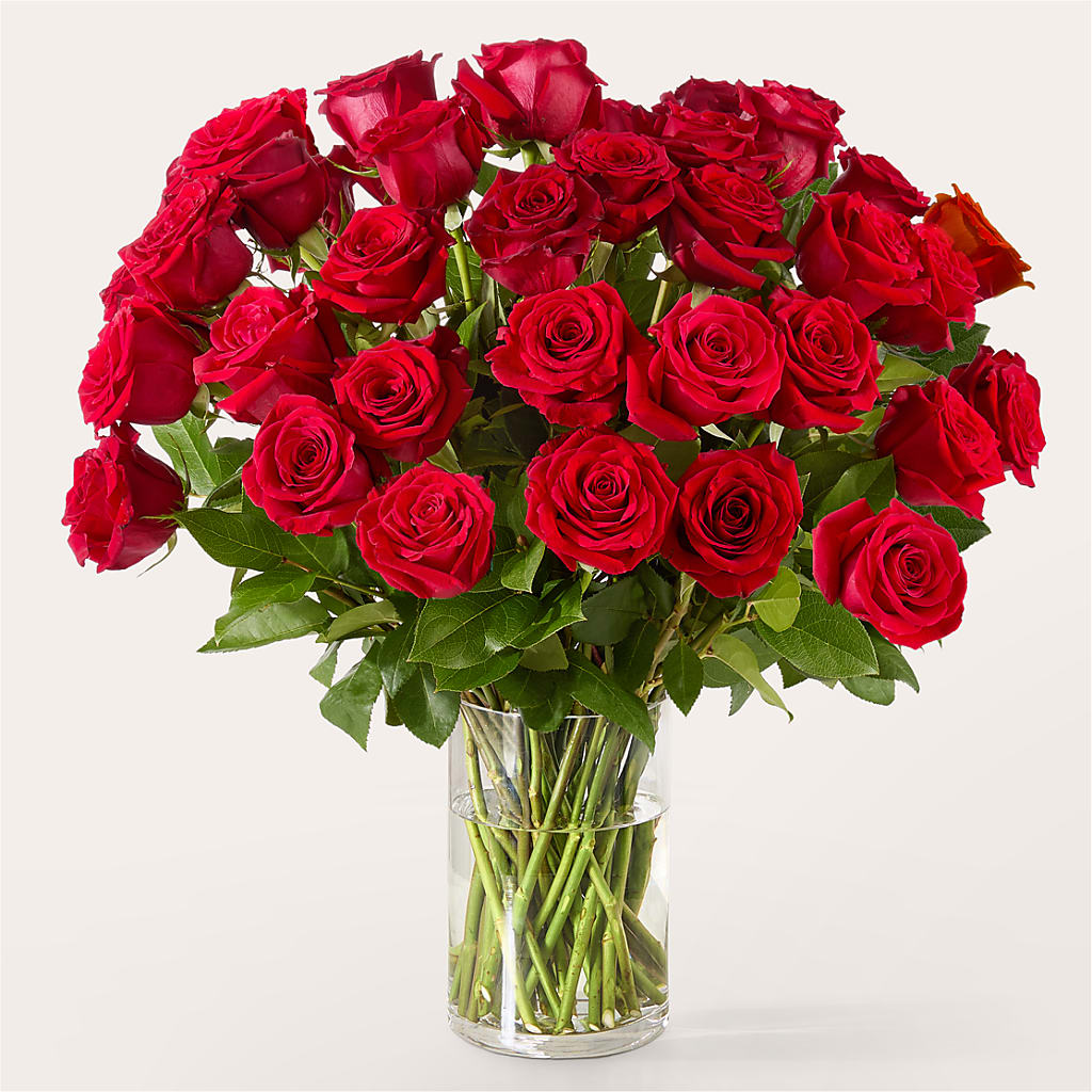 The One Red Rose Bouquet –  Loop Flower Studio, Chicago IL
