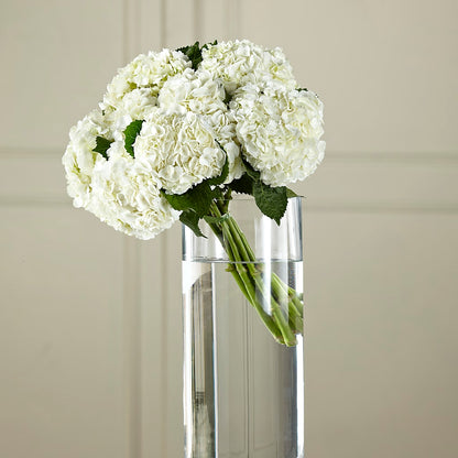White Hydrangea Hand-Tied Bouquet –  Loop Flower Studio, Chicago IL