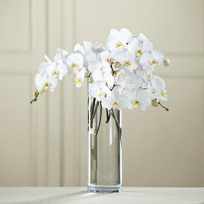 White Phalaenopsis Bouquet –  Loop Flower Studio, Chicago IL